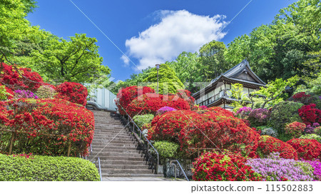 川崎旅遊勝地「上木山東閣院(厚寺)」的風景【神奈川縣川崎市】 川崎旅遊勝地「上木山東閣院(厚寺)」的風景【神奈川縣川崎市】 115502883