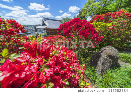 川崎旅遊勝地「上木山東閣院(厚寺)」的風景【神奈川縣川崎市】 川崎旅遊勝地「上木山東閣院(厚寺)」的風景【神奈川縣川崎市】 115502884