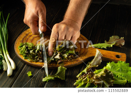 Preparing salad on kitchen table. Cutting cos lettuce leaves with knife in man hand. Vegetarian food concept with lettuce Preparing salad on kitchen table. Cutting cos lettuce leaves with knife in man hand. Vegetarian food concept with lettuce 115502889