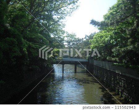 風景照片：葉山離宮，淡水染上新綠 115502943