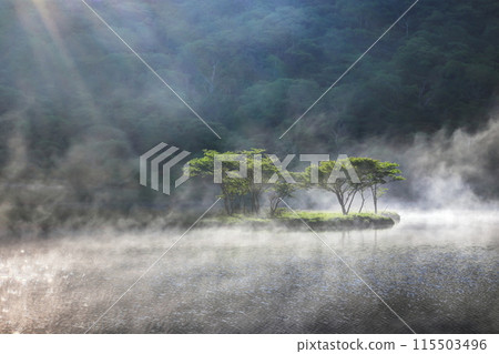 被霧包圍的鮮綠色的Kakumanbuchi 115503496