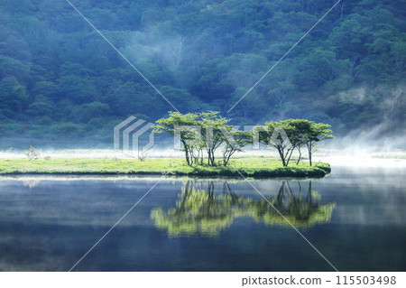 Kakumanbuchi Falls, shrouded in mist and filled with fresh greenery Kakumanbuchi Falls, shrouded in mist and filled with fresh greenery 115503498