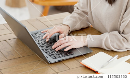 A woman doing research on a computer A woman doing research on a computer 115503560