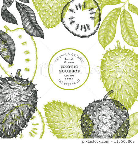 Hand drawn sketch style soursop fruit banner. Organic fresh fruit vector illustration. Retro guanabana design template 115503802