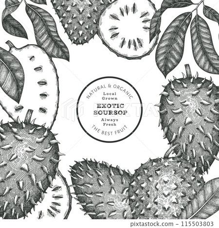 Hand drawn sketch style soursop fruit banner. Organic fresh fruit vector illustration. Retro guanabana design template 115503803