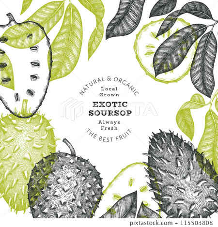 Hand drawn sketch style soursop fruit banner. Organic fresh fruit vector illustration. Retro guanabana design template 115503808