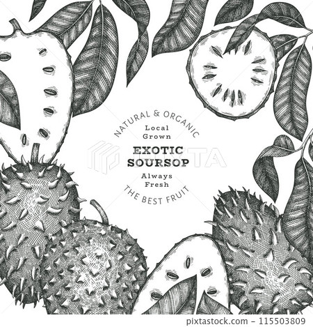 Hand drawn sketch style soursop fruit banner. Organic fresh fruit vector illustration. Retro guanabana design template 115503809