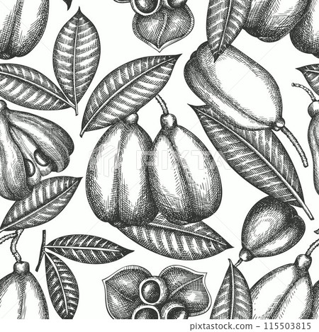 Hand drawn sketch style ackee seamless pattern. Organic fresh food vector illustration. Retro exotic fruit  background. 115503815