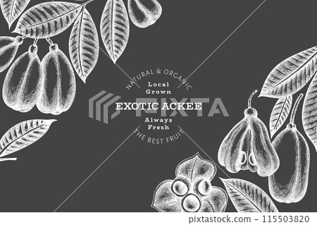 Hand drawn sketch style ackee banner. Organic fresh food vector illustration on chalk board. Retro exotic fruit design template. Engraved style botanical background. Hand drawn sketch style ackee banner. Organic fresh food vector illustration on chalk board. Retro exotic fruit design template. Engraved style botanical background. 115503820