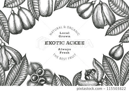 Hand drawn sketch style ackee banner. Organic fresh food vector illustration. Retro exotic fruit design template. Engraved style botanical background. 115503822