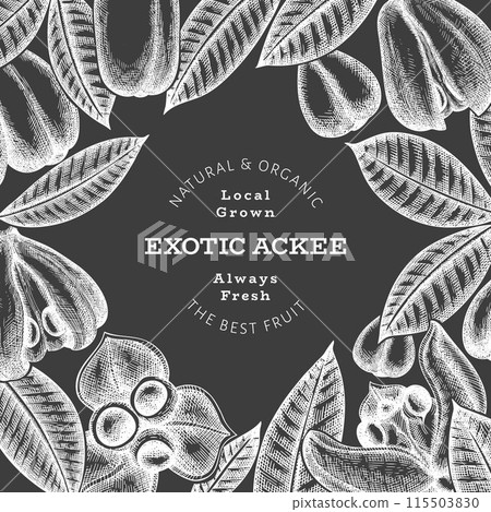 Hand drawn sketch style ackee banner. Organic fresh food vector illustration on chalk board. Retro exotic fruit design template. Engraved style botanical background. 115503830