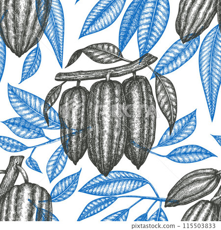 Cocoa Banner Vector Seamless Pattern. Chocolate Retro Cocoa Beans Background. Vintage Style Hand Drawn Illustration. Cocoa Banner Vector Seamless Pattern. Chocolate Retro Cocoa Beans Background. Vintage Style Hand Drawn Illustration. 115503833