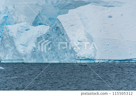 Landscape of the Antarctic Peninsula Landscape of the Antarctic Peninsula 115505312