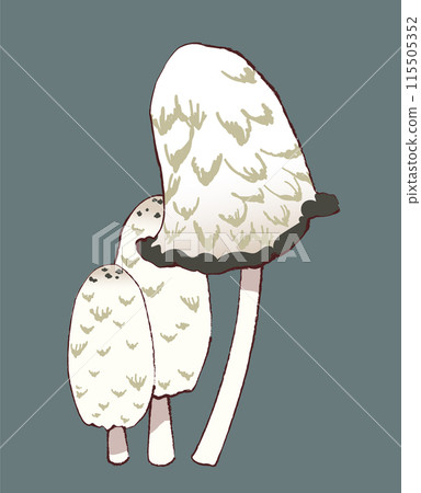Cute mushroom illustration Cute mushroom illustration 115505352