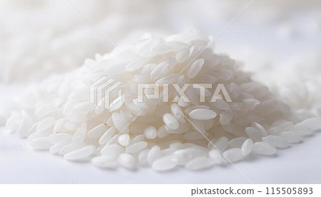 精米/日本米 精米/日本米 115505893