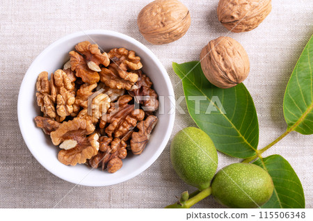 Walnut halves in a white bowl on linen fabric. Shelled, dried walnut kernels, ripe seeds of the common walnut tree. On the right dried nuts with shells, and tree branch with unripe nuts in green husk. Walnut halves in a white bowl on linen fabric. Shelled, dried walnut kernels, ripe seeds of the common walnut tree. On the right dried nuts with shells, and tree branch with unripe nuts in green husk. 115506348