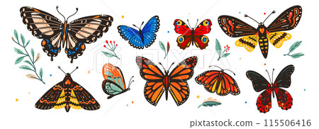 Butterfly vector illustration set. Beautiful tropical moths isolated on white background. Flying cute insects with colorful wings in flat trendy style Butterfly vector illustration set. Beautiful tropical moths isolated on white background. Flying cute insects with colorful wings in flat trendy style 115506416