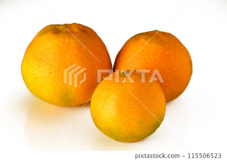 Three Oranges Isolated on White Background 115506523