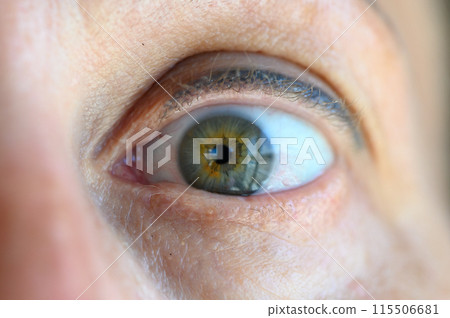 A close up shot of a beautiful green eye 115506681