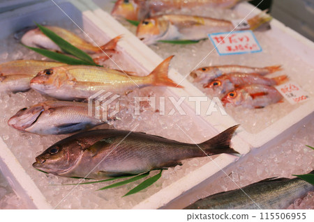魚市場攤位 115506955