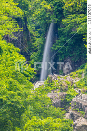 [Ishikawa Prefecture, Hakusan City] Fresh greenery in the Tetori Gorge and Watagataki Falls 115507066