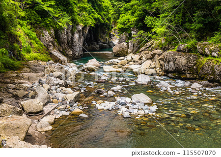 [Ishikawa Prefecture, Hakusan City] Fresh greenery in the Tetori Gorge and Watagataki Falls 115507070