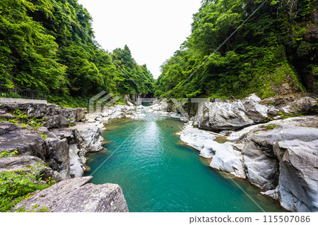 [石川縣/白山市]鮮綠的手取峽渡瀧 115507086