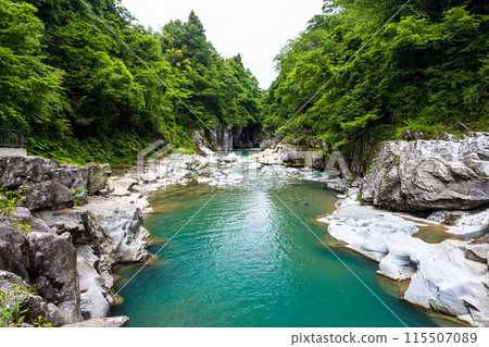 [石川縣/白山市]鮮綠的手取峽渡瀧 115507089