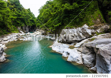 [石川縣/白山市]鮮綠的手取峽渡瀧 115507091