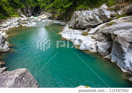 [石川縣/白山市]鮮綠的手取峽渡瀧 115507092