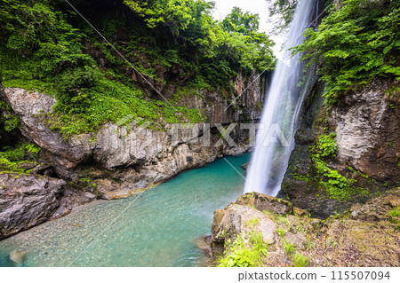 [石川縣/白山市]鮮綠的手取峽渡瀧 115507094