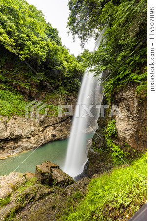 [Ishikawa Prefecture, Hakusan City] Fresh greenery in the Tetori Gorge and Watagataki Falls 115507098