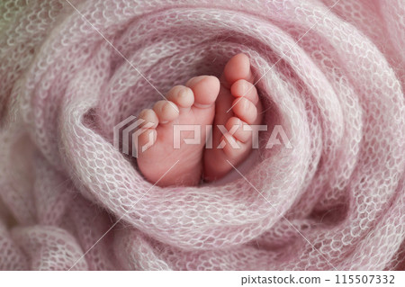 Close-up of tiny, cute, bare toes, heels and feet of a newborn girl, boy. Baby foot on pink soft coverlet, blanket. Detail of a newborn baby legs. Macro horizontal professional studio photo. Close-up of tiny, cute, bare toes, heels and feet of a newborn girl, boy. Baby foot on pink soft coverlet, blanket. Detail of a newborn baby legs. Macro horizontal professional studio photo. 115507332