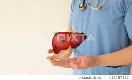 World hepatitis day concept. Doctor hands holding liver with viral infection symbol. Awareness of prevention and treatment viral hepatitis that causes liver cancer. Health care and medical. World hepatitis day concept. Doctor hands holding liver with viral infection symbol. Awareness of prevention and treatment viral hepatitis that causes liver cancer. Health care and medical. 115507382