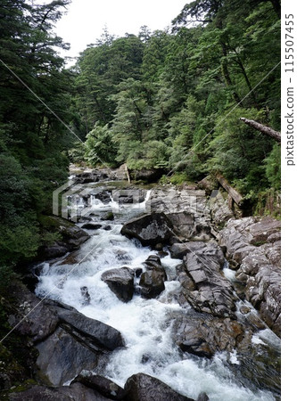 Flowing rivers of Yakushima 115507455