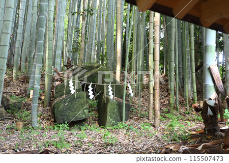 Amaneiwado神社 115507473