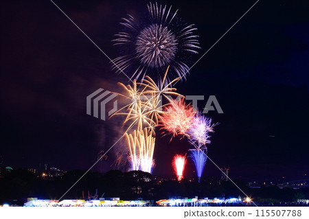 浪速花火大會(大阪市淀川區) 浪速花火大會(大阪市淀川區) 115507788