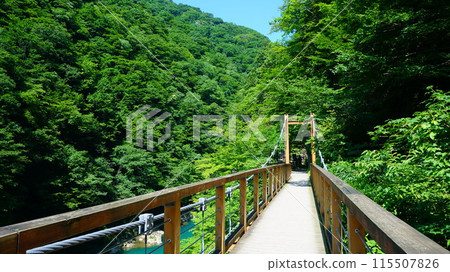 初夏擁抱山谷 115507826