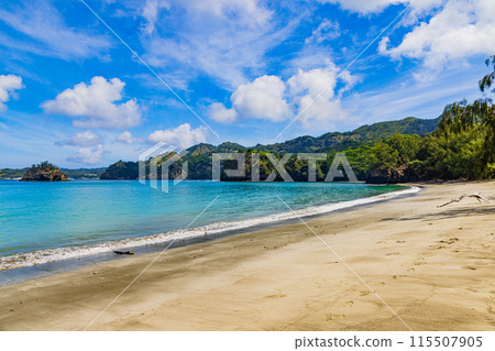 小笠原群島、父島、小木浦海岸的風景 小笠原群島、父島、小木浦海岸的風景 115507905