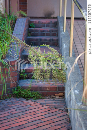 Weeds blocking the red brick stairs 115507976