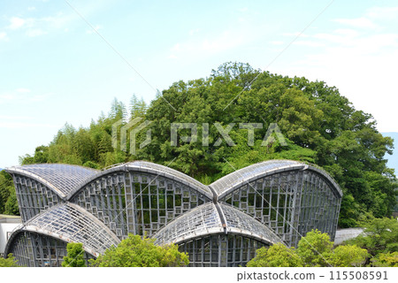 Insect building 115508591