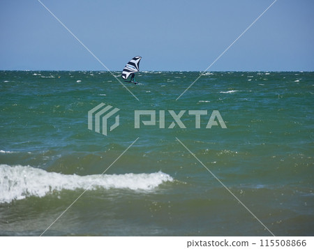 A person playing windsurfing in the summer sea 115508866