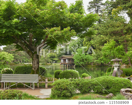 初夏綠意盎然的兼六園景色 115508909