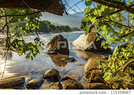 Wild Castelhanos Beach on Ilhabela Wild Castelhanos Beach on Ilhabela 115509067