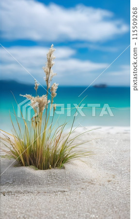 Minimalist Beach Photography with Grass and Flower 115509268