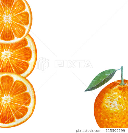 Orange fruit, mandarine slice, leaf vertical watercolor frame isolated on white. High quality hand drawn art for food design, packages, restaurant menu, cards, organic food, label, logo and decor Orange fruit, mandarine slice, leaf vertical watercolor frame isolated on white. High quality hand drawn art for food design, packages, restaurant menu, cards, organic food, label, logo and decor 115509299