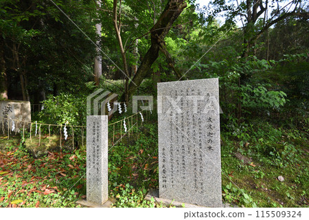 Tian Hui Shan Shrine 115509324