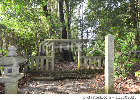 Tian Hui Shan Shrine 115509325