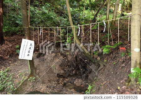 Tian Hui Shan Shrine 115509326