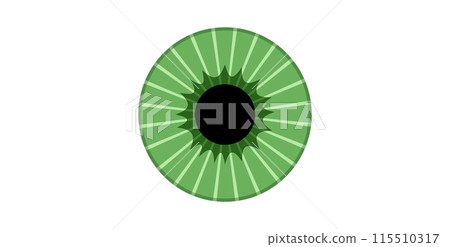 Iris medical poster 115510317